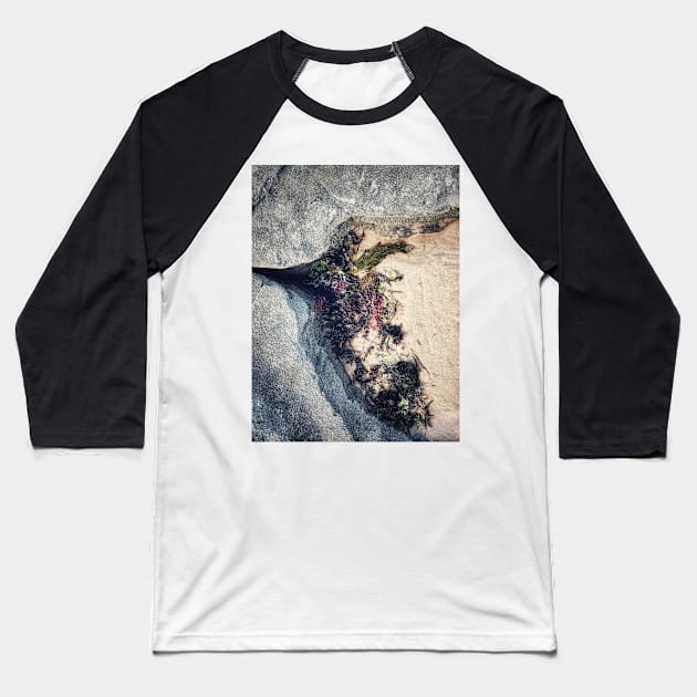 Seaweed Studies Baseball T-Shirt by goodieg